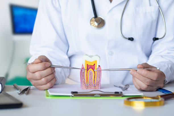 Best Emergency Dental Services for Seniors in Sidney, IL